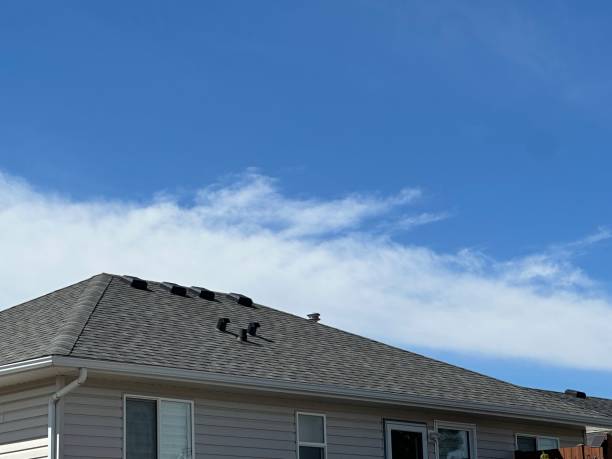 Roof Coating Services in Findlay, OH